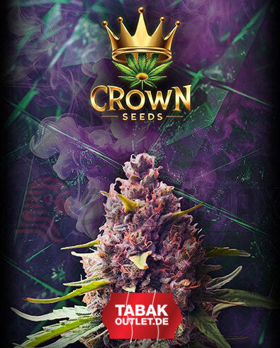 CROWN SEEDS (Samen, anstatt HHC)